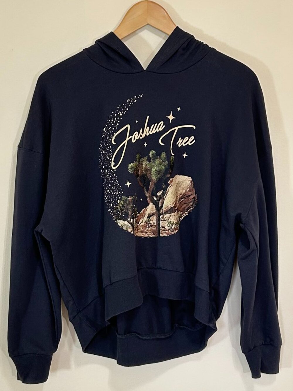 Pretty Rebellious Joshua Tree Pullover Hoodie Dark Grey Size L